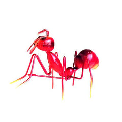 Rainy Widget Collector